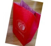 Пакет бумажный (Store Sundries) The Saem shopping bag — paper (XS/no string) 120*60*220 8806164114193