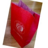 Пакет бумажный (Store Sundries) The Saem shopping bag — paper (XS/no string) 120*60*220