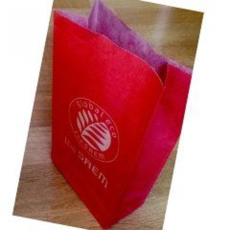 Пакет бумажный (Store Sundries) The Saem shopping bag — paper (XS/no string) 120*60*220 8806164114193
