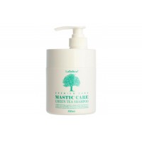 Шампунь Gain Cosmetics Lombok Mastic Greentea Shampoo 500мл
